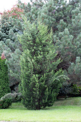 Similar image 21781655