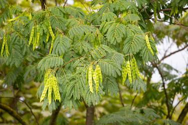 Similar image 21781657