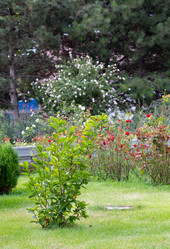 Similar image 21781659