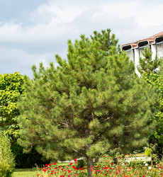 Similar image 21781660