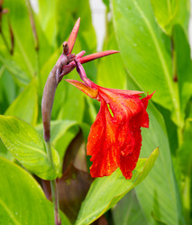 Similar image 21781661