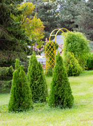 Similar image 21781662