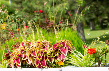 Similar image 21782472