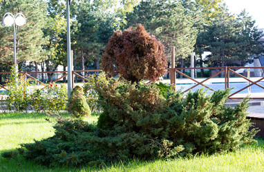 Similar image 21782473