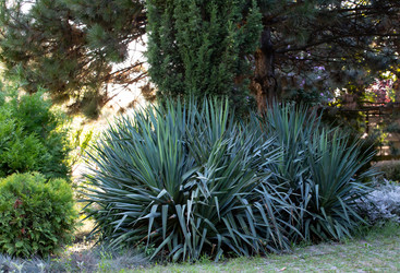 Similar image 21782474