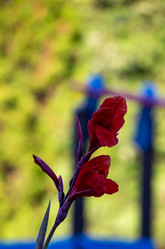 Similar image 21782475