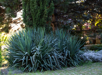 Similar image 21782476