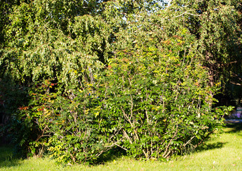 Similar image 21782477