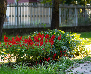 Similar image 21782478