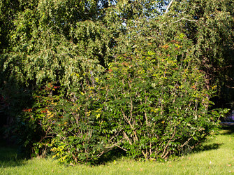 Similar image 21782479