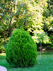 Similar image 21782480