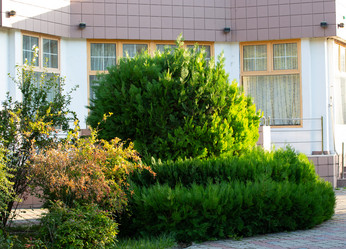 Similar image 21782482