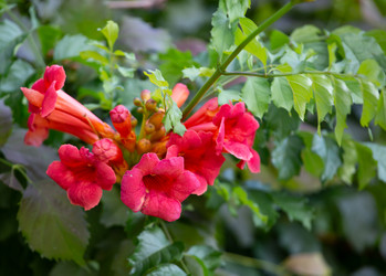 Similar image 21782484