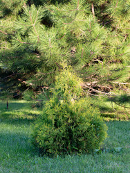 Similar image 21782485