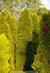 Similar image 21782486