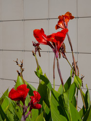 Similar image 21782487