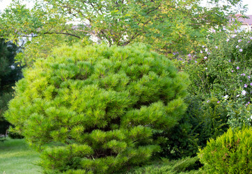 Similar image 21782488