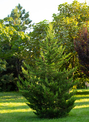 Similar image 21782489