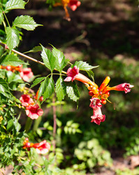 Similar image 21782490