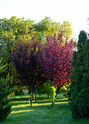 Similar image 21782721