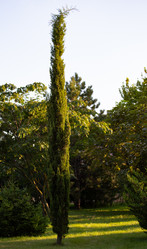 Similar image 21782722