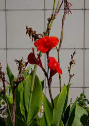 Similar image 21782723