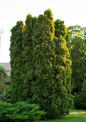 Similar image 21782724