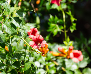 Similar image 21782726