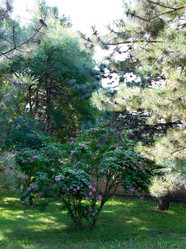 Similar image 21782727