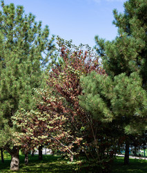 Similar image 21782728