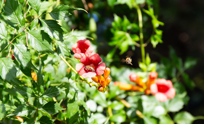 Similar image 21782729