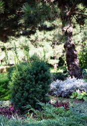 Similar image 21782730