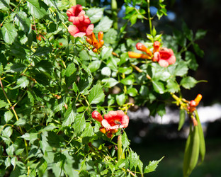 Similar image 21782738