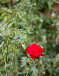 Similar image 21782741