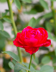 Similar image 21782891