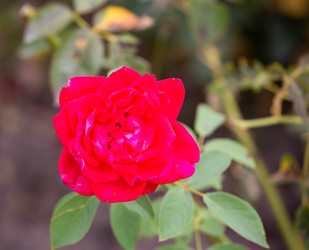 Similar image 21782893