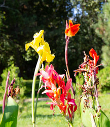 Similar image 21782894