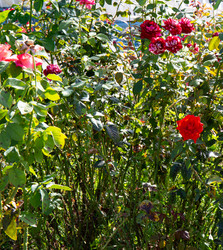 Similar image 21782899