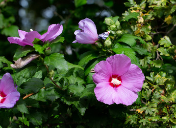 Similar image 21782905