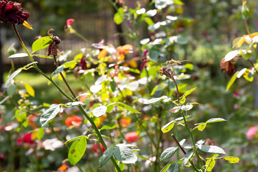 Similar image 21782909