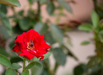 Similar image 21782910