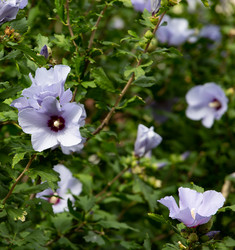 Similar image 21782913