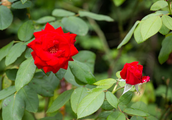 Similar image 21782914