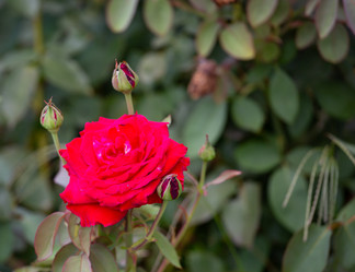 Similar image 21782915