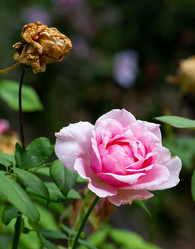 Similar image 21782922