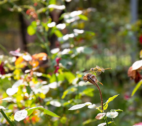 Similar image 21782923