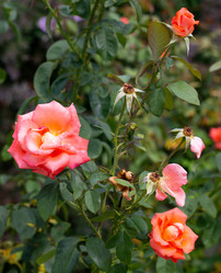 Similar image 21782924