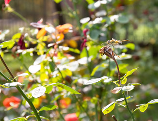 Similar image 21782925