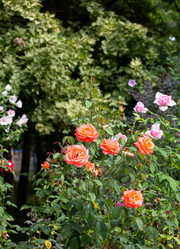 Similar image 21782926