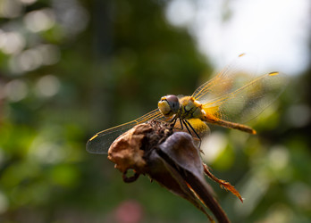 Similar image 21782927